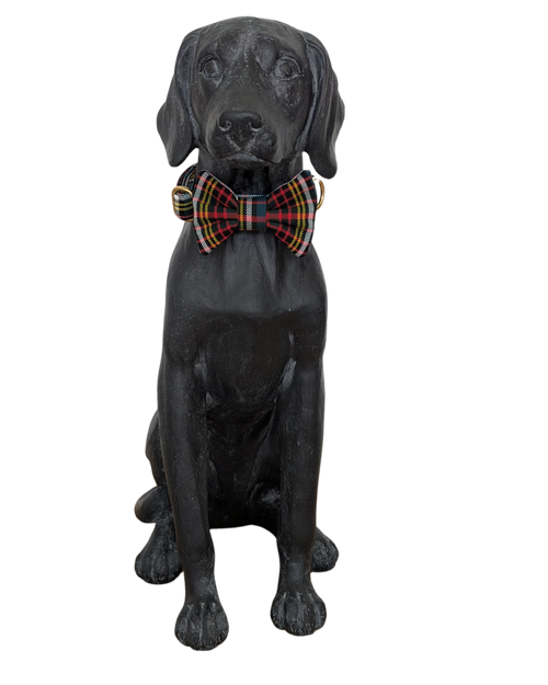 Bowtie | Anderson