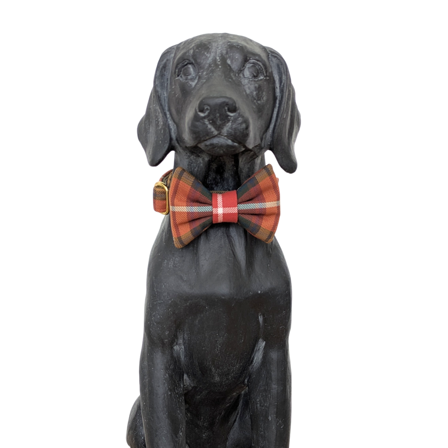 Bowtie | Buchanan