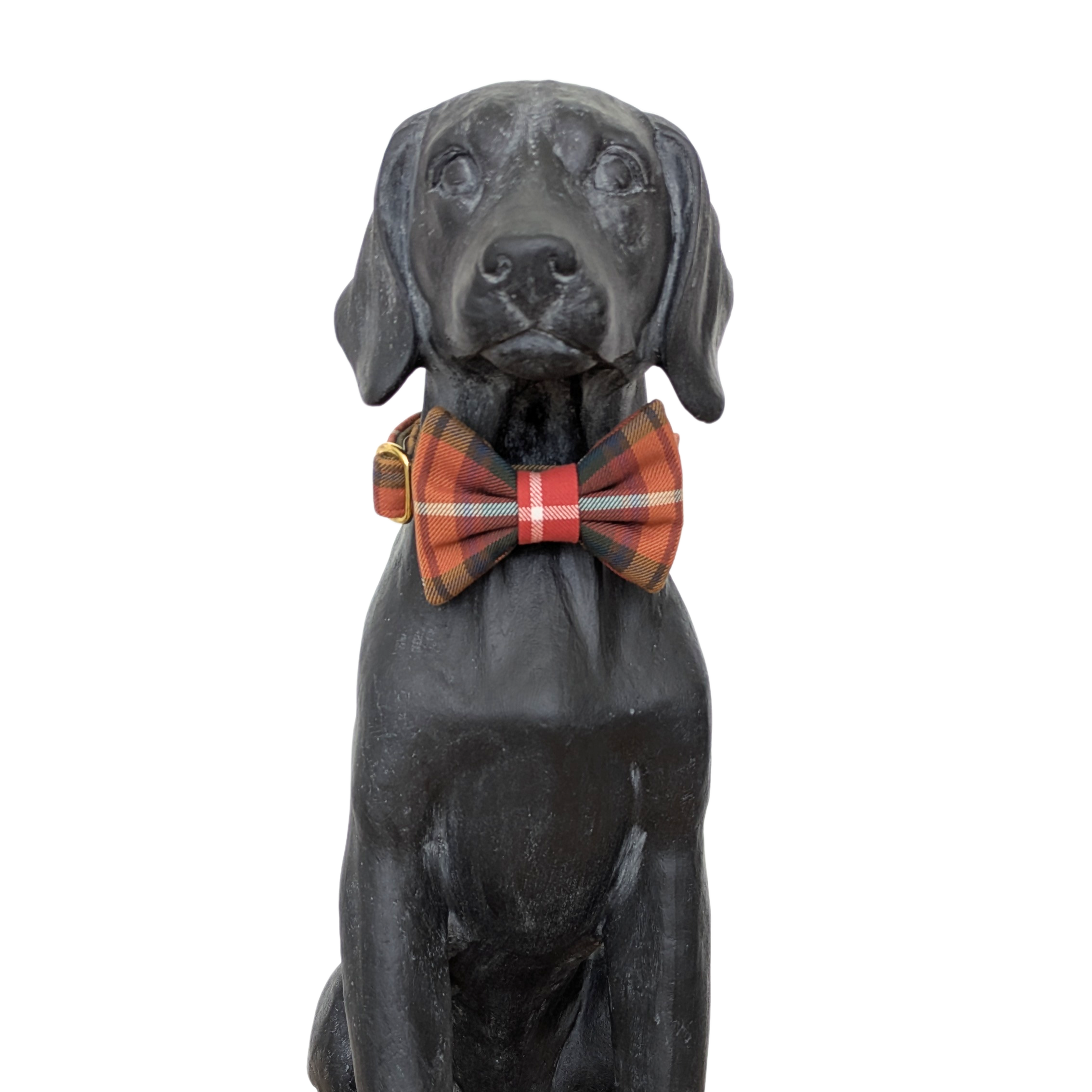 Bowtie | Buchanan