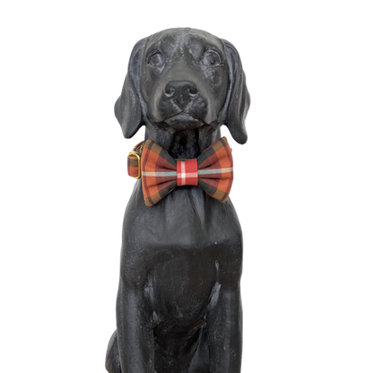 Bowtie | Buchanan