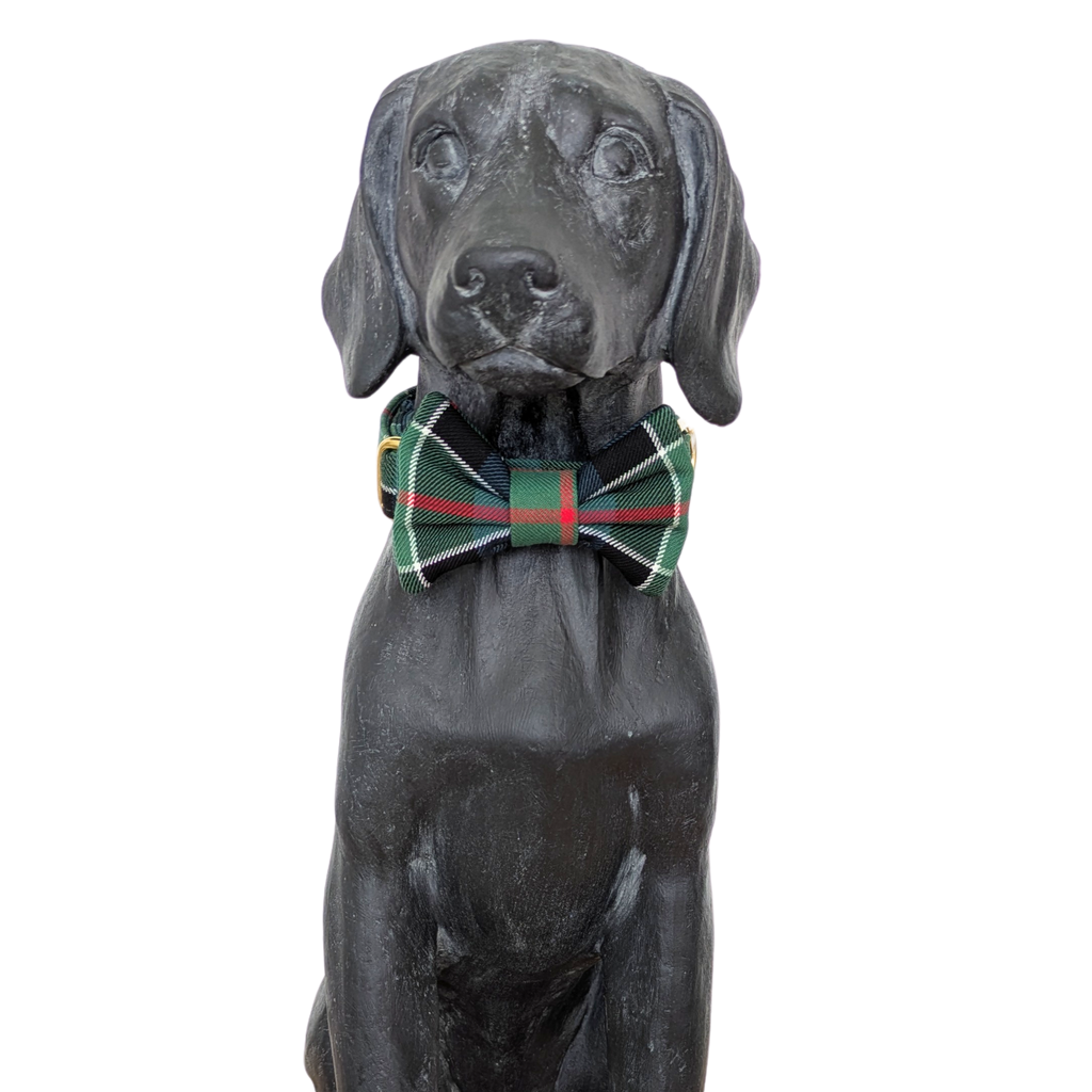 Bowtie | Colquhoun