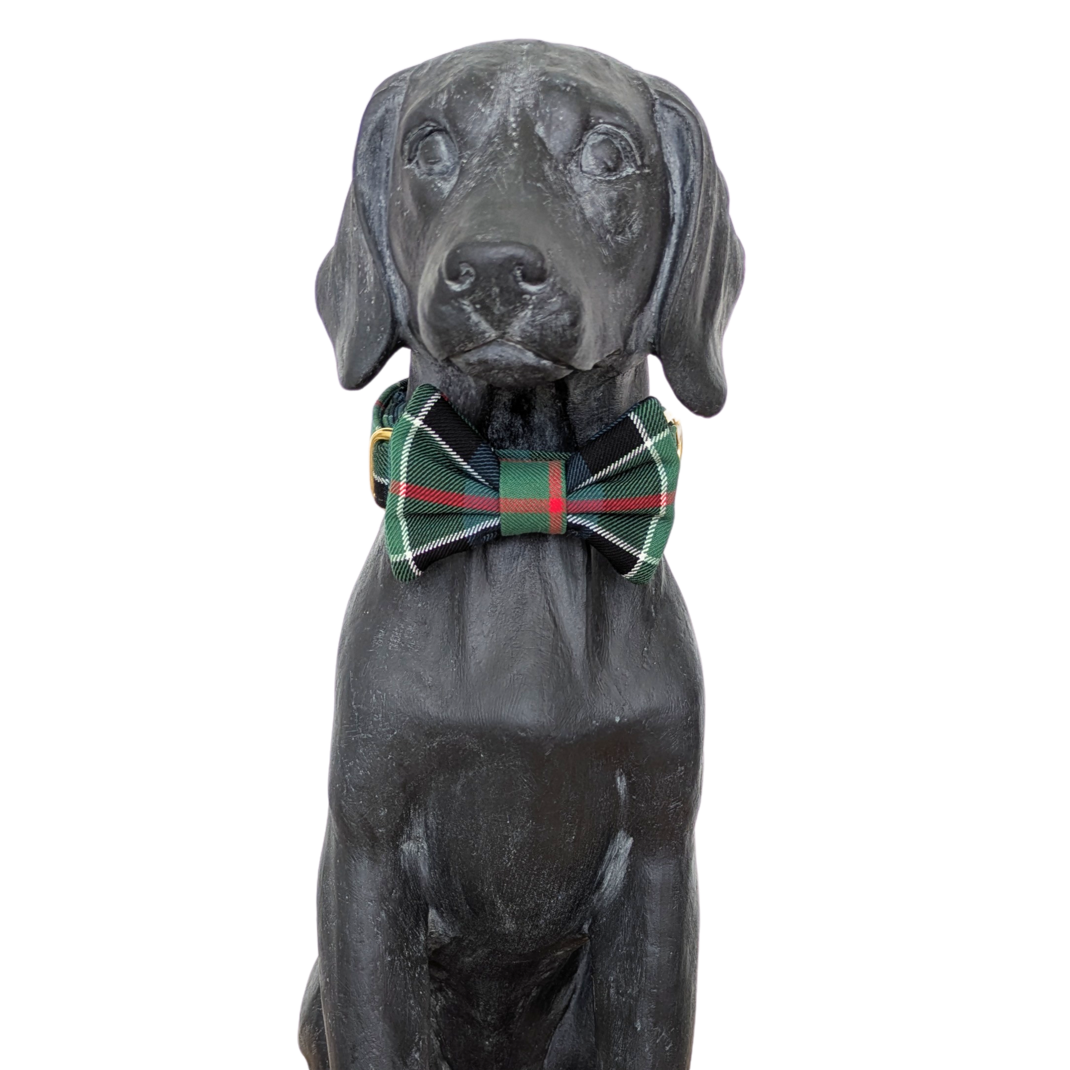 Bowtie | Colquhoun