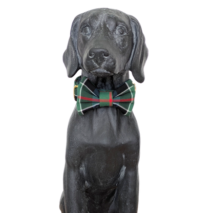 Bowtie | Colquhoun