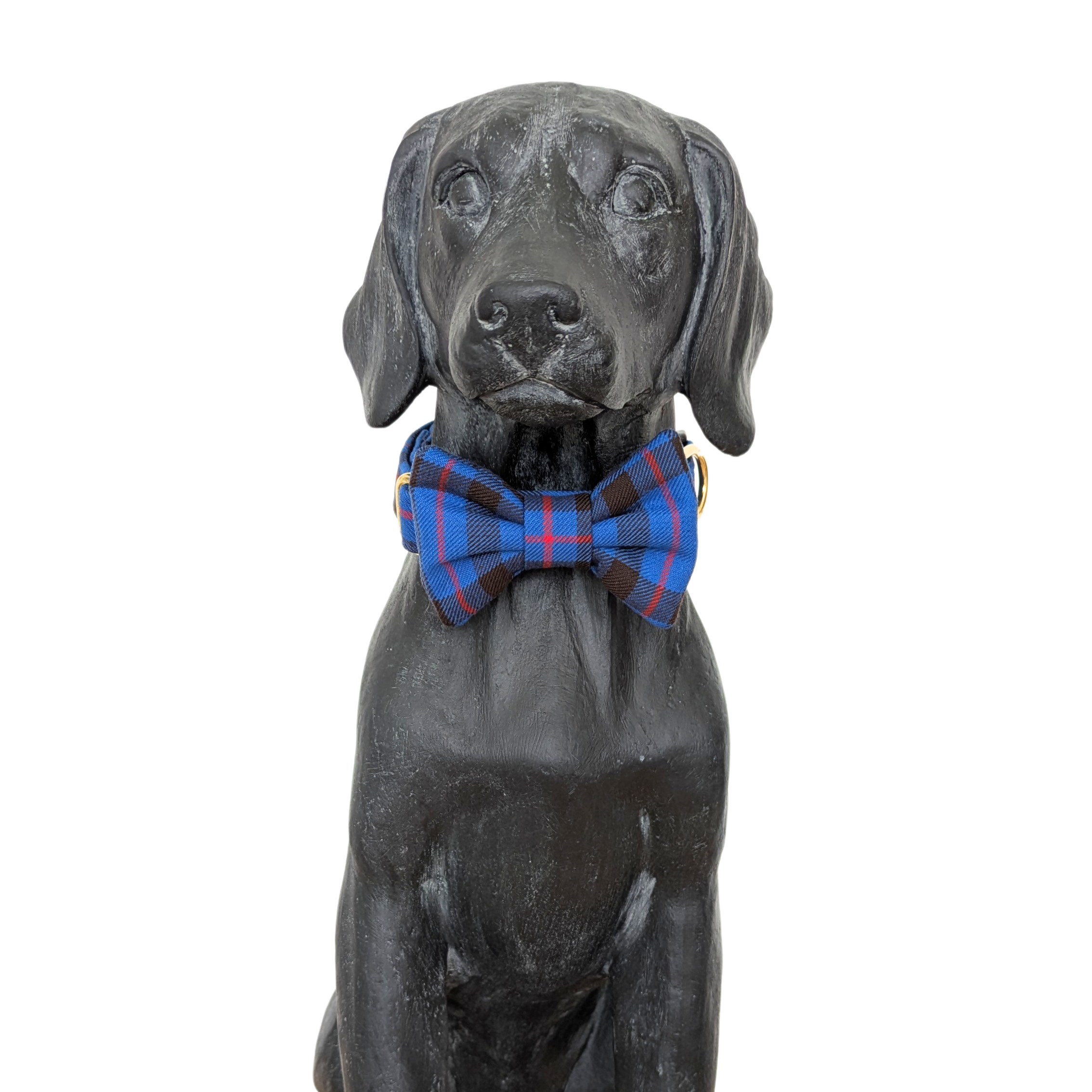 Bowtie | Elliot