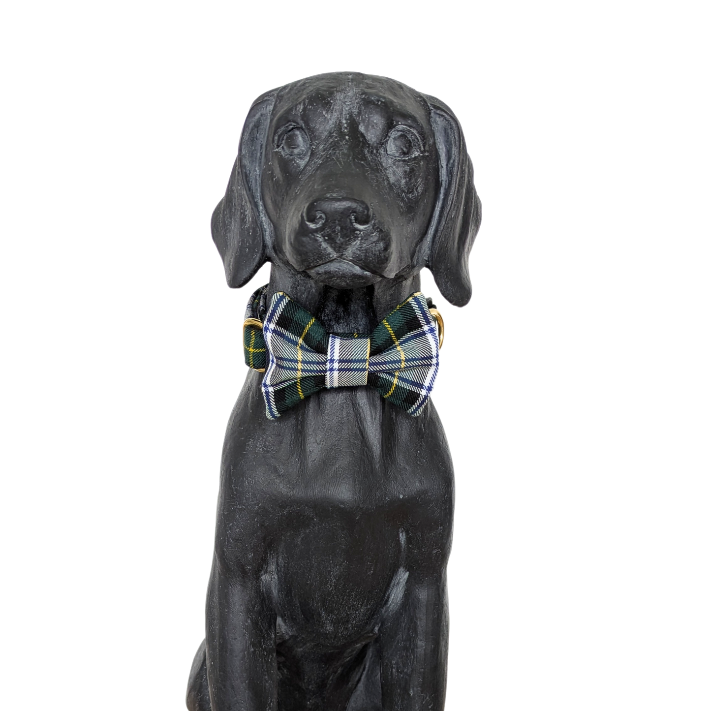 Bowtie | Gordon