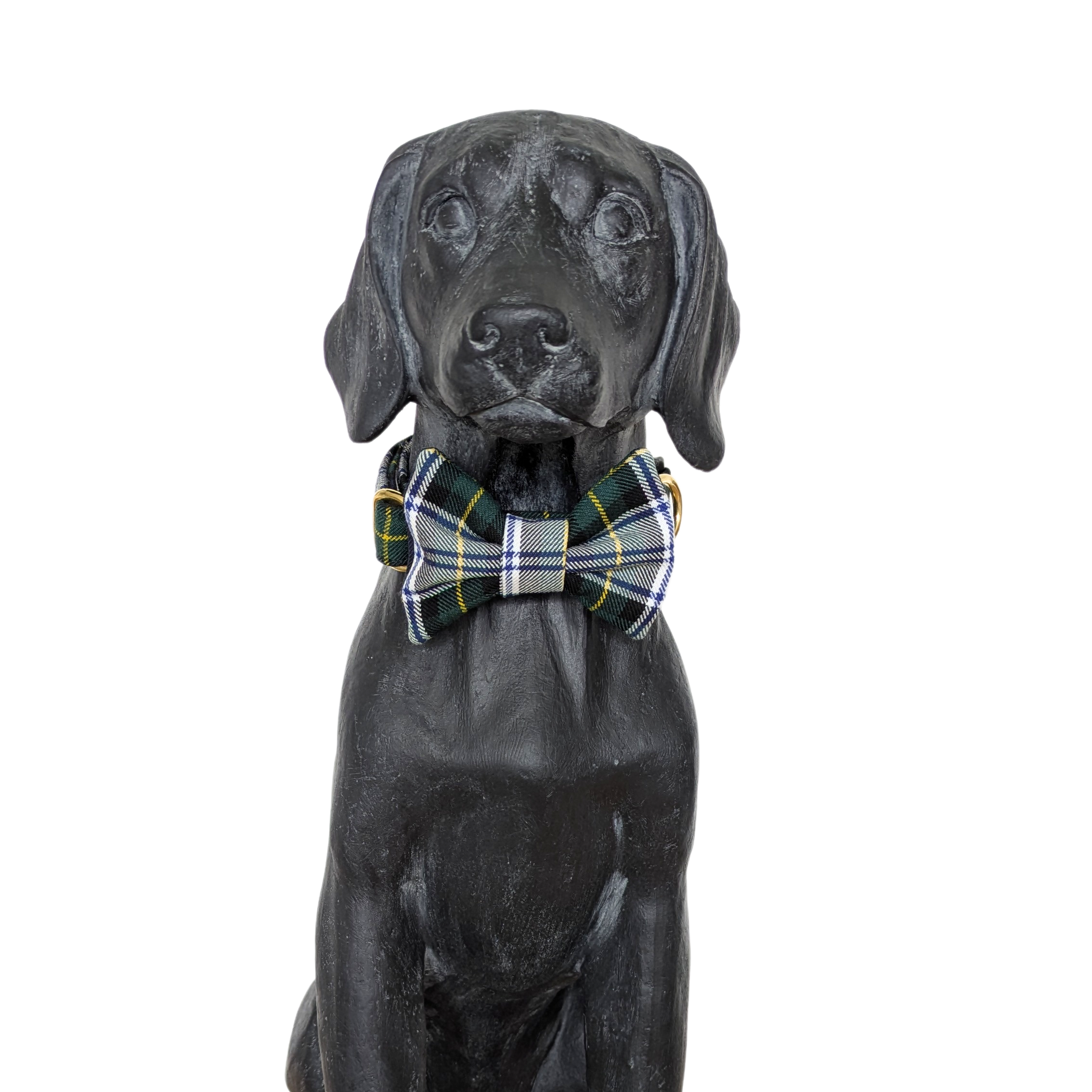 Bowtie | Gordon
