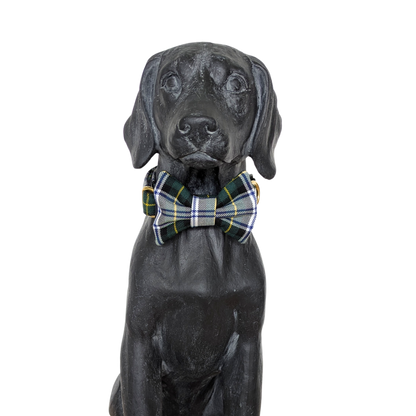 Bowtie | Gordon