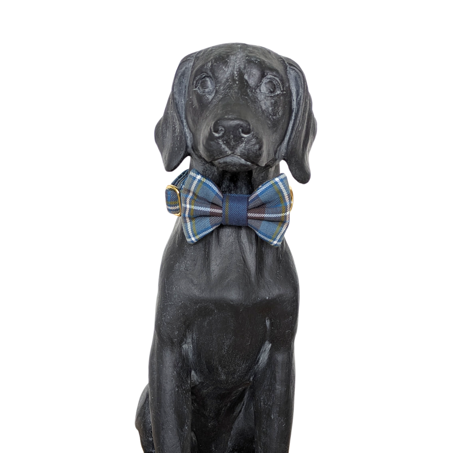 Bowtie | Holyrood