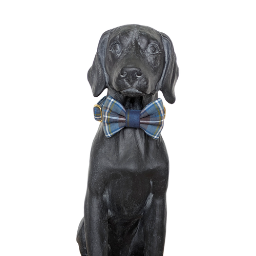 Bowtie | Holyrood