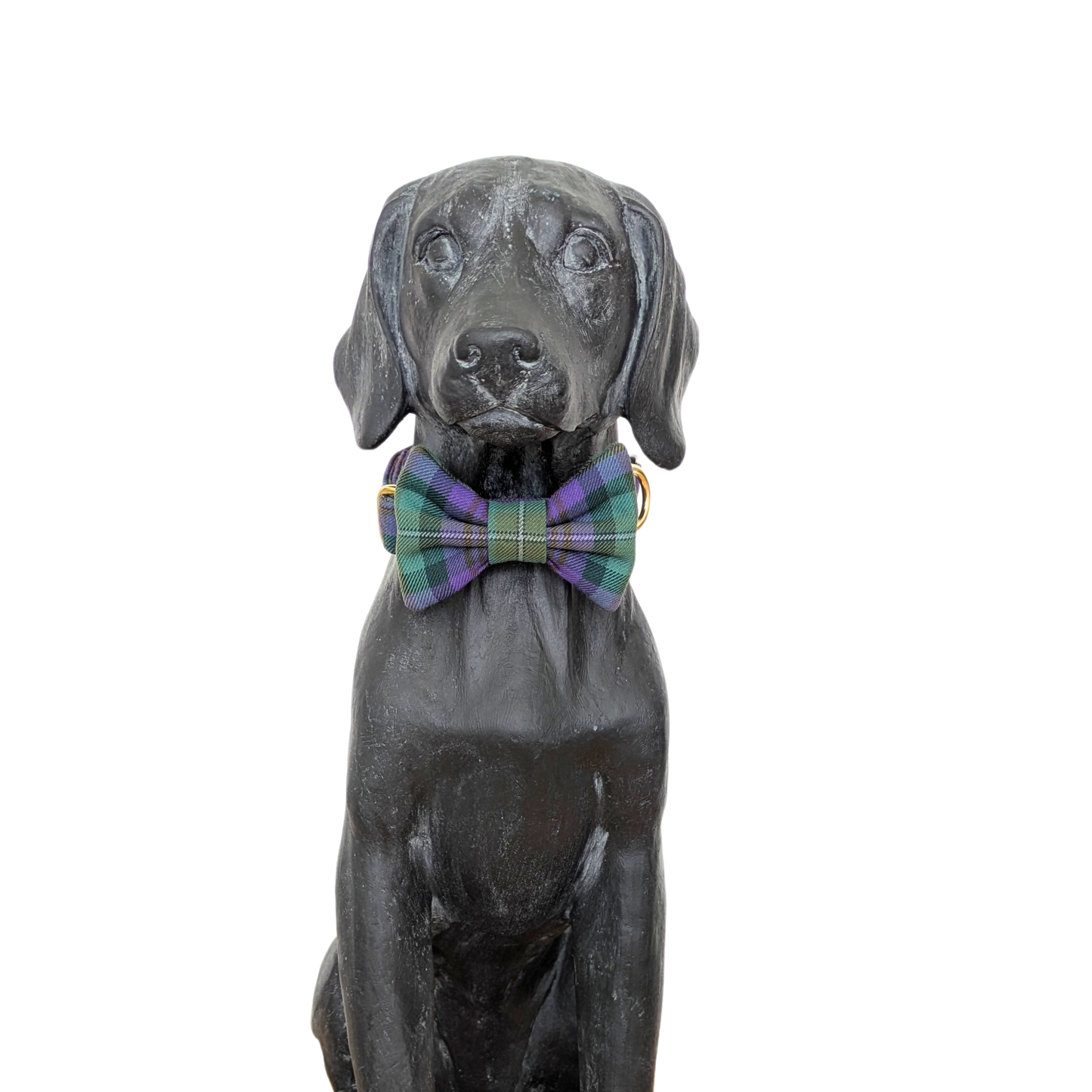 Bowtie | Isle of Skye
