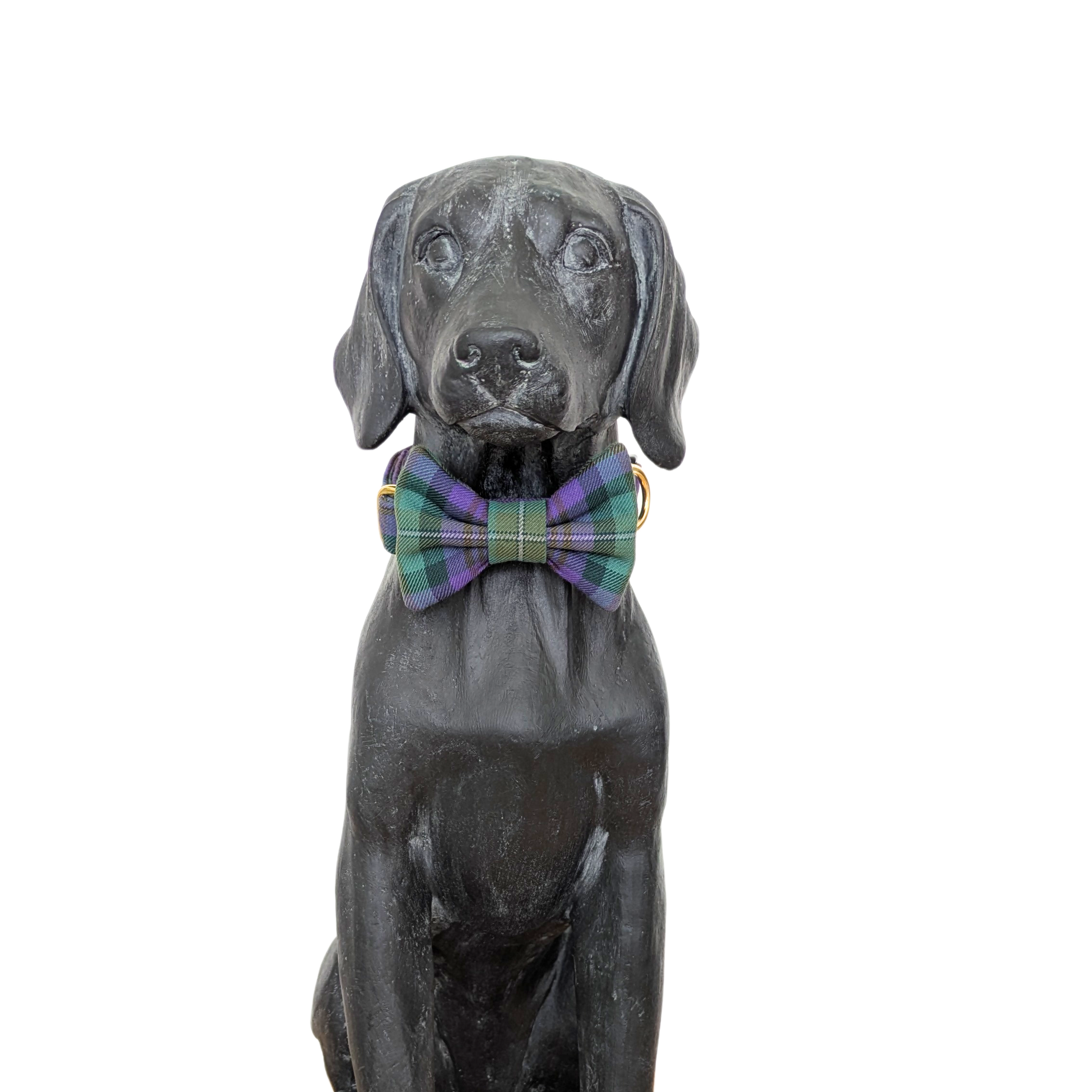 Bowtie | Isle of Skye