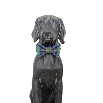 Bowtie | Isle of Skye