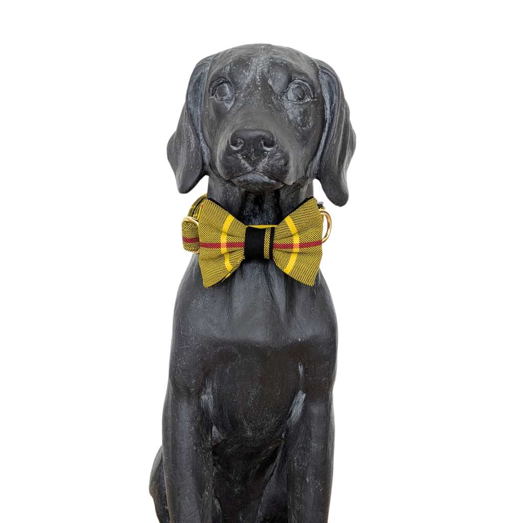 Bowtie | Macleod of Lewis