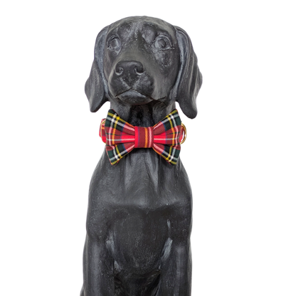 Bowtie | Royal Stewart