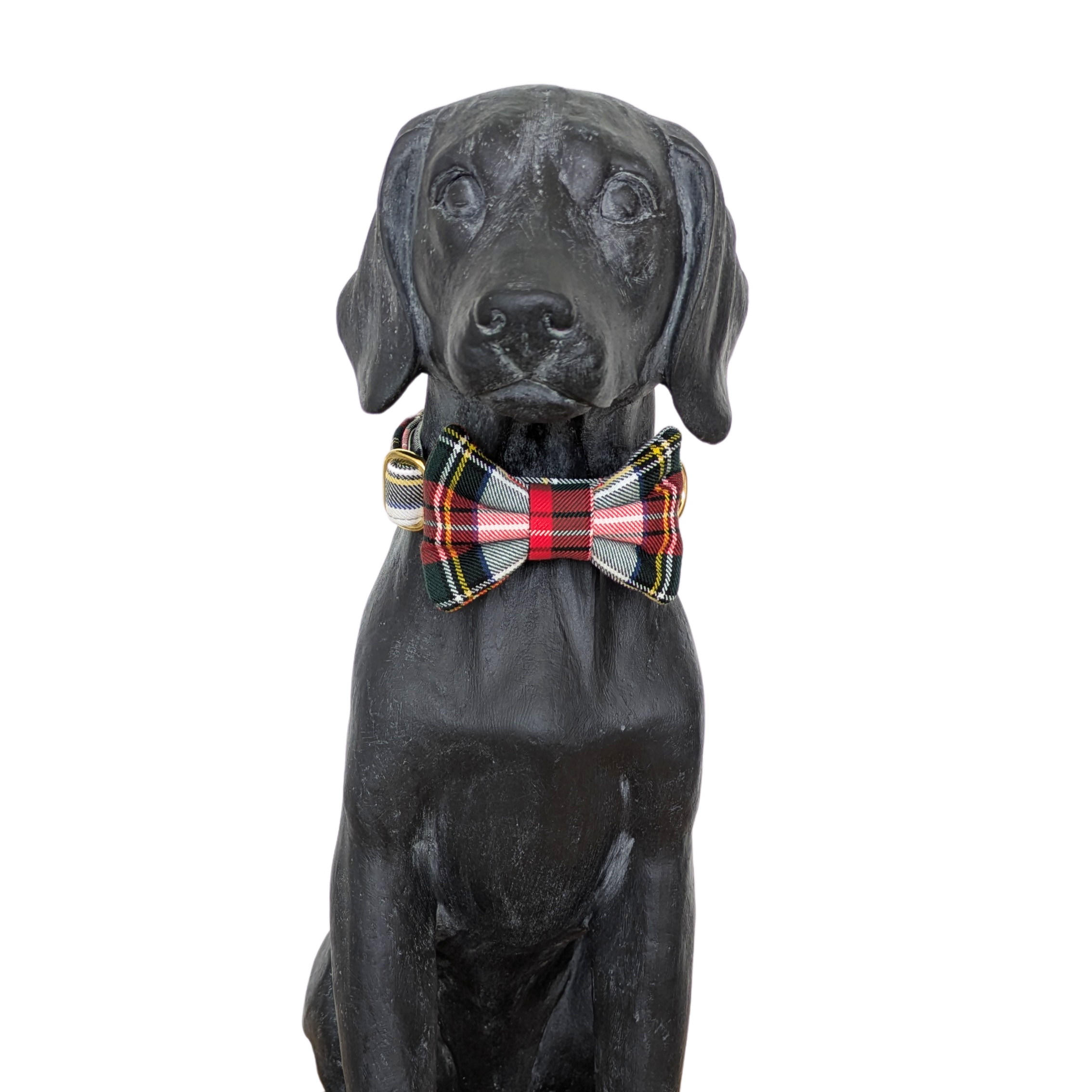 Bowtie | Stewart Dress