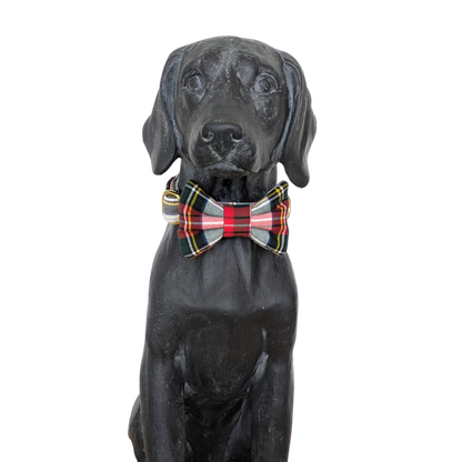 Bowtie | Stewart Dress