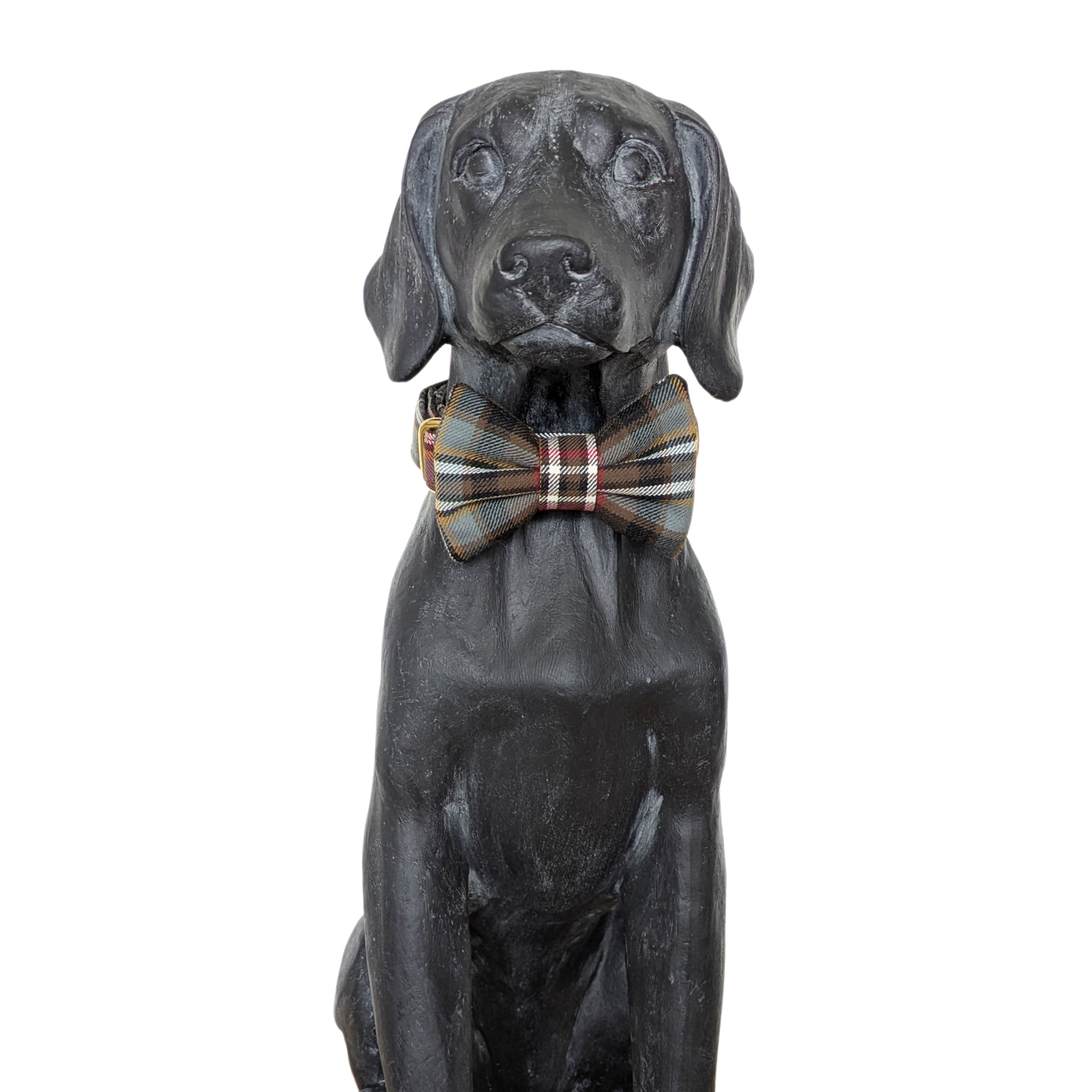 Bowtie | Scott Weathered