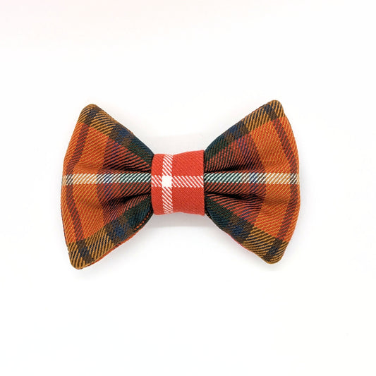 Bowtie | Buchanan