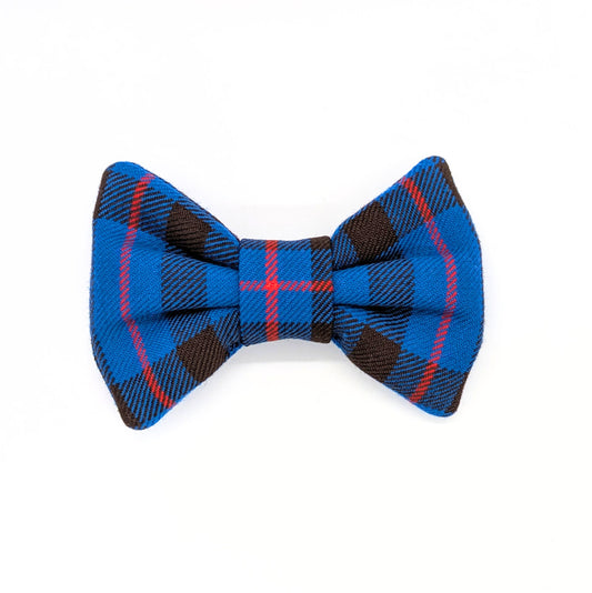 Bowtie | Elliot