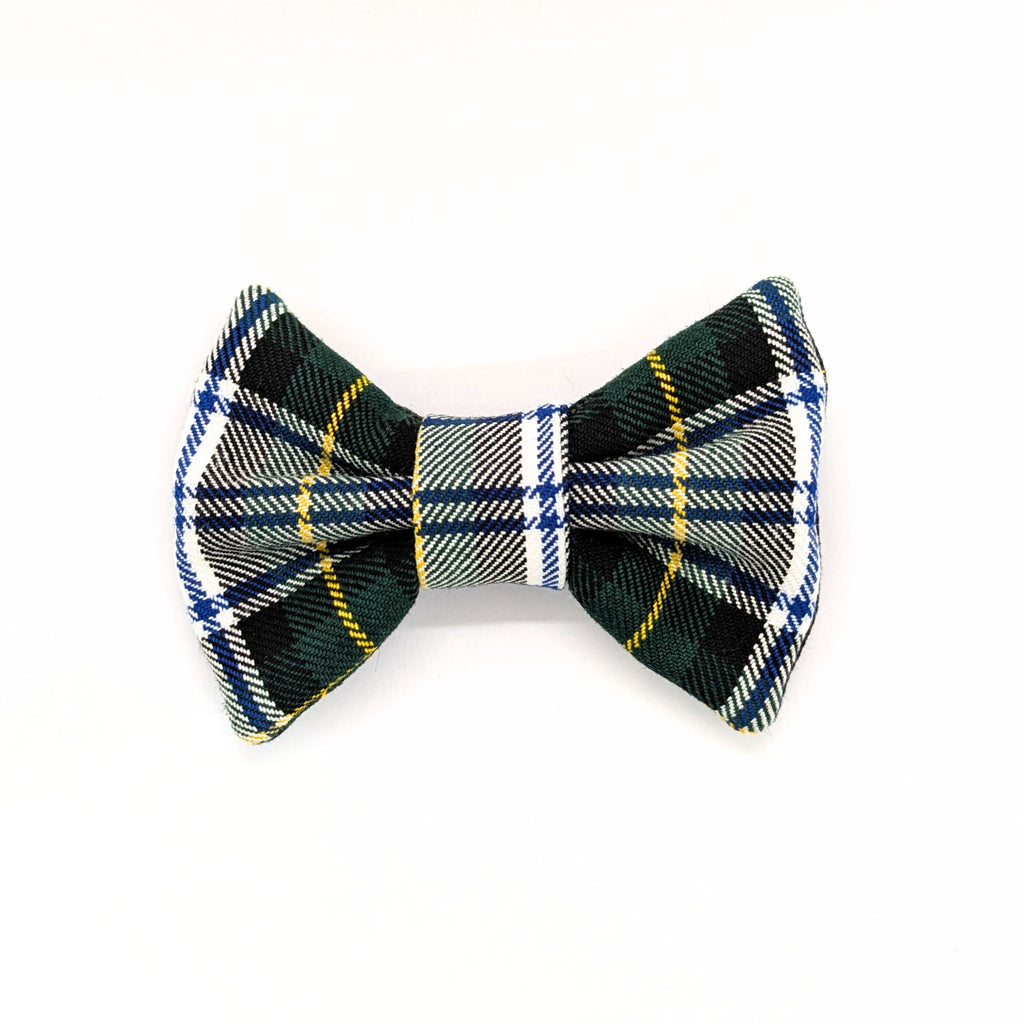 Bowtie | Gordon