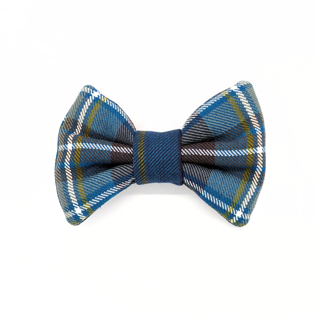 Bowtie | Holyrood