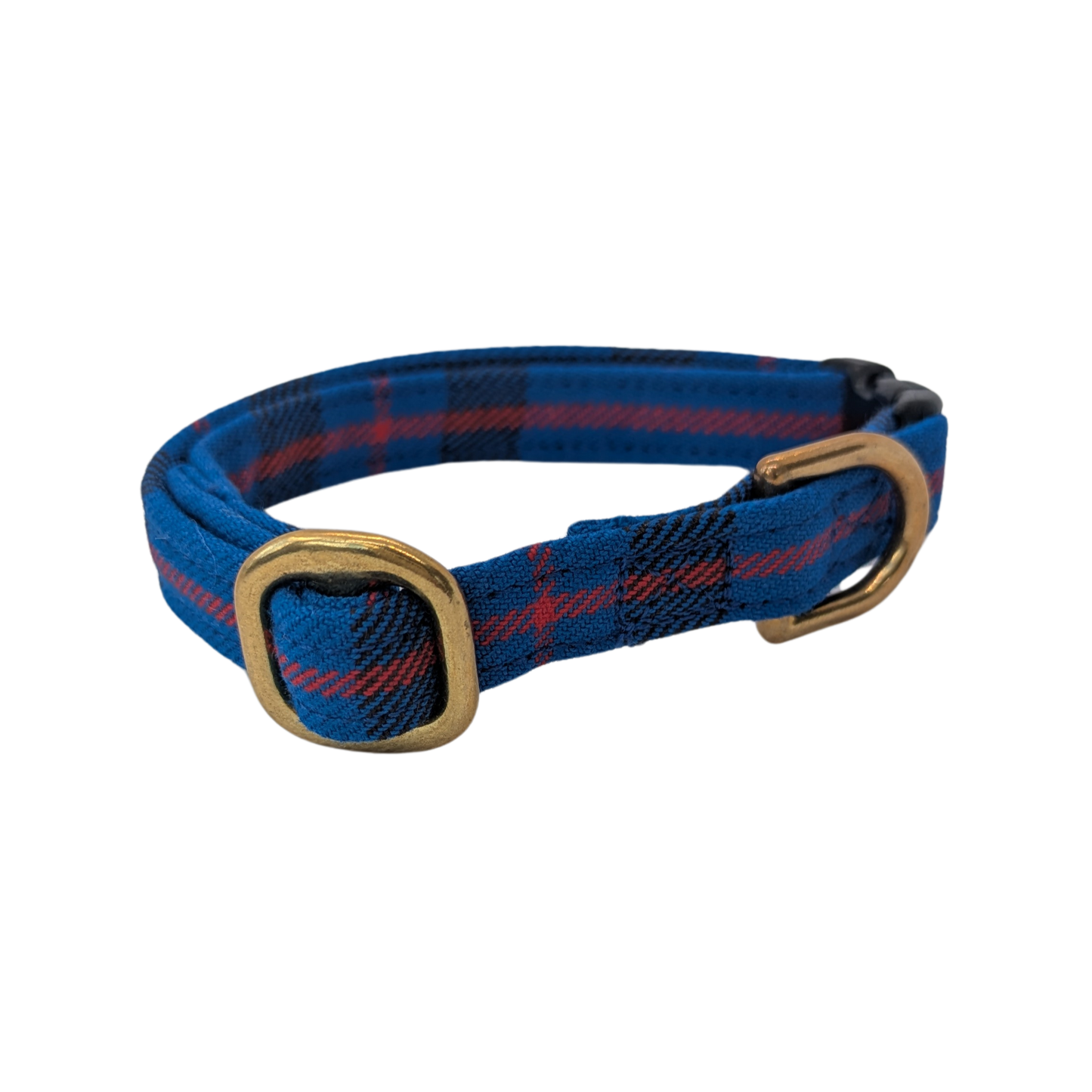 Cat collar | Elliot