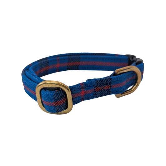 Cat collar | Elliot
