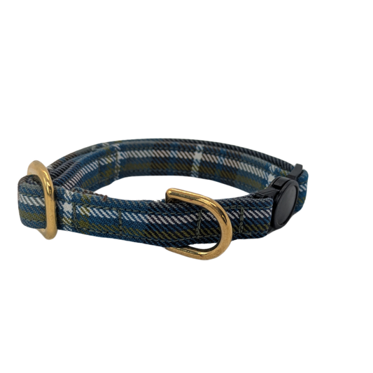 Cat collar | Holyrood