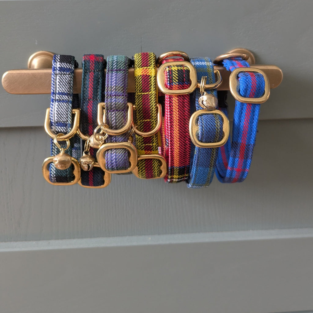 Cat collar | Anderson
