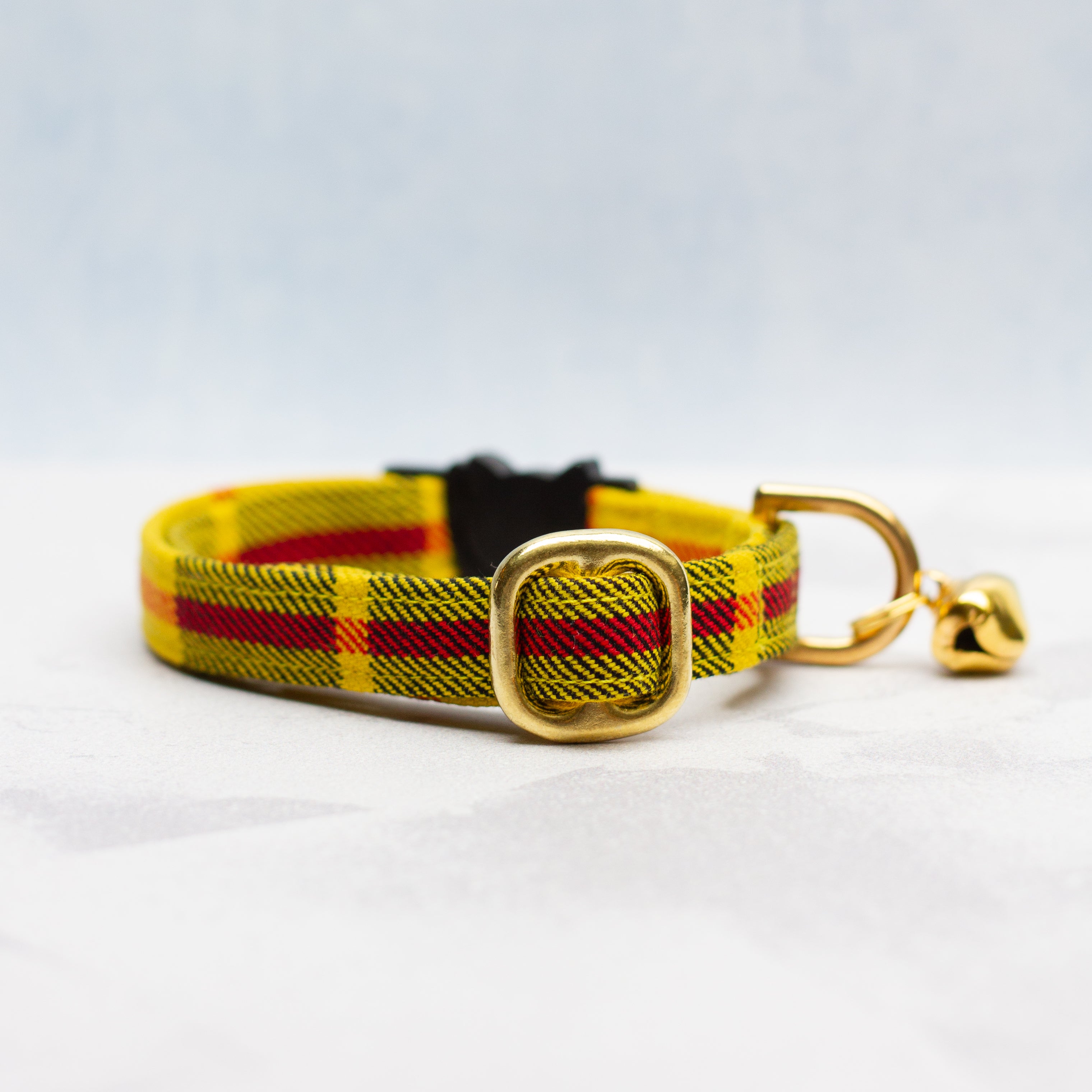 Cat collar | Macleod of Lewis