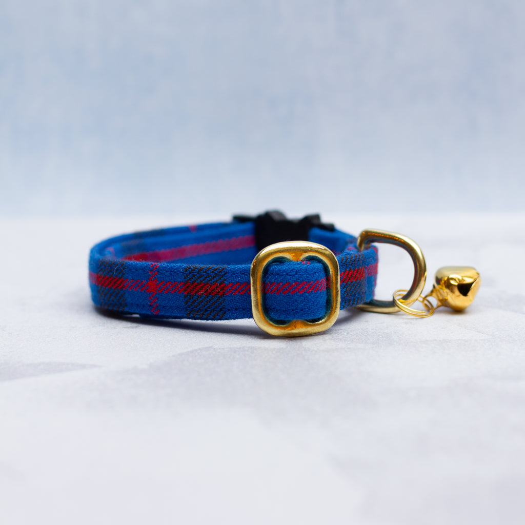 Cat collar | Elliot