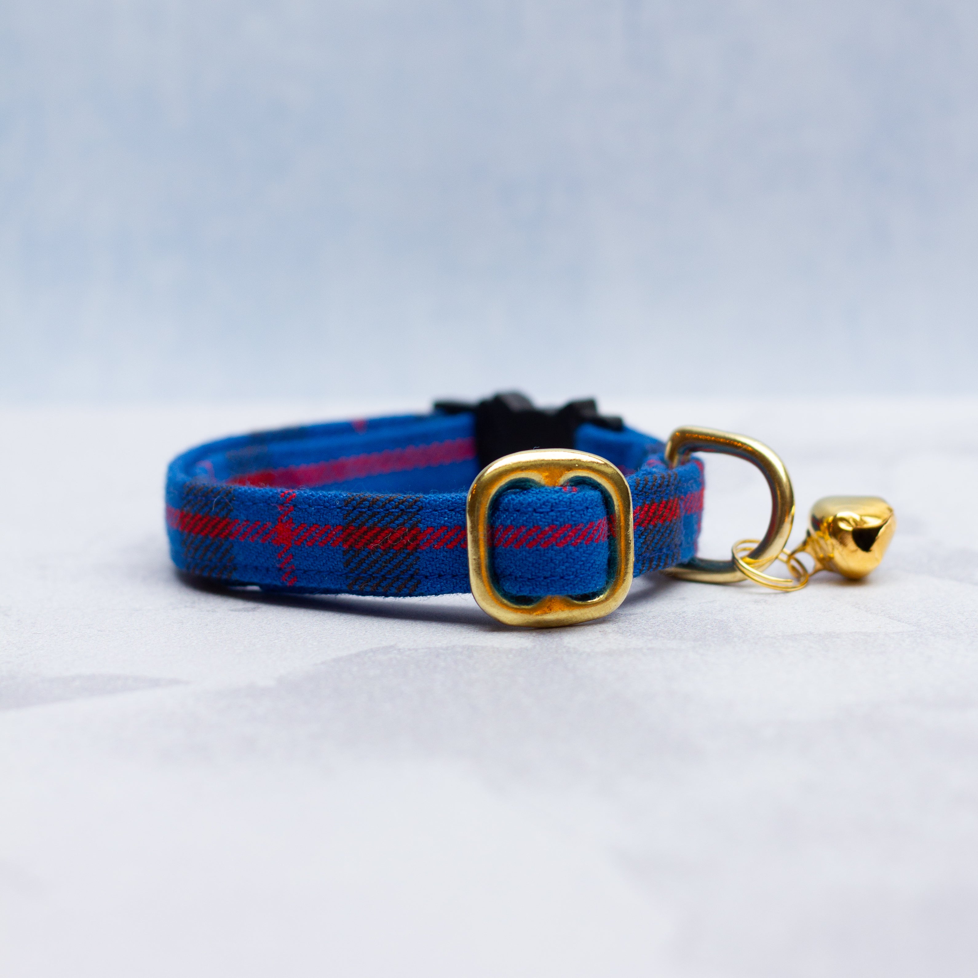 Cat collar | Elliot