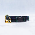 Cat collar | Black Watch