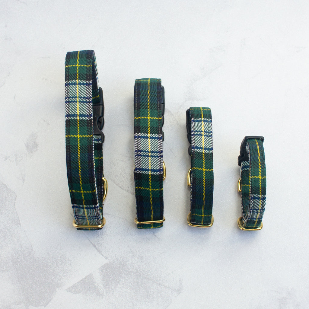 Dog Collar | Gordon