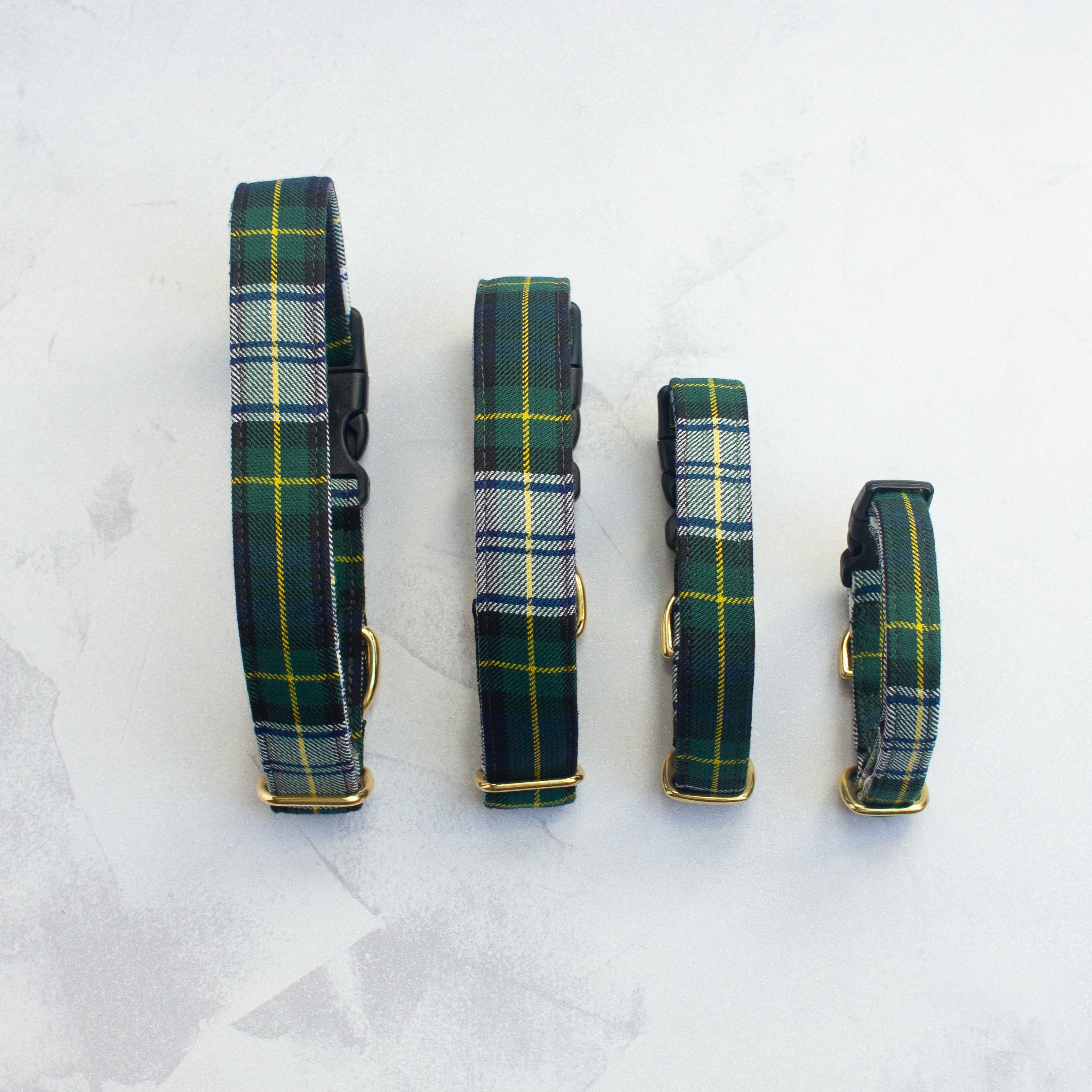 Dog Collar | Gordon