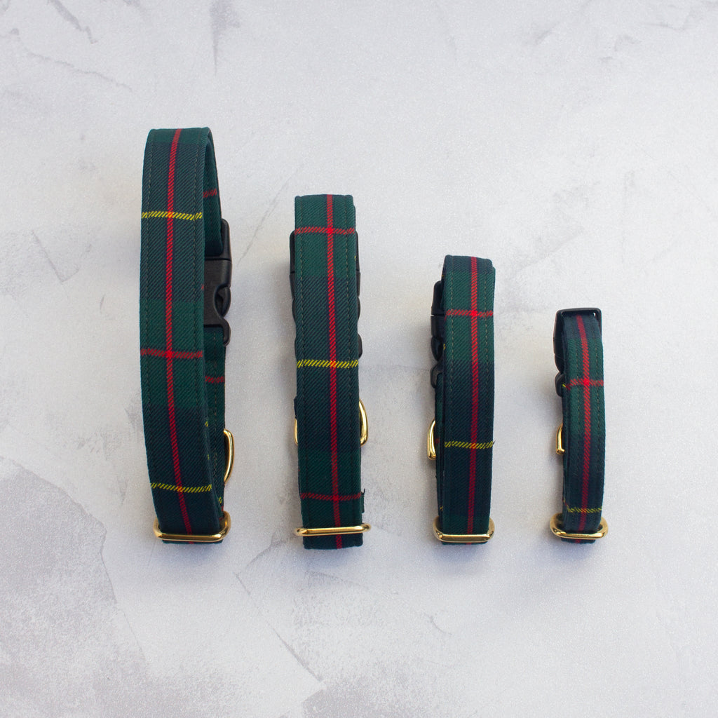 Dog Collar | Macleod