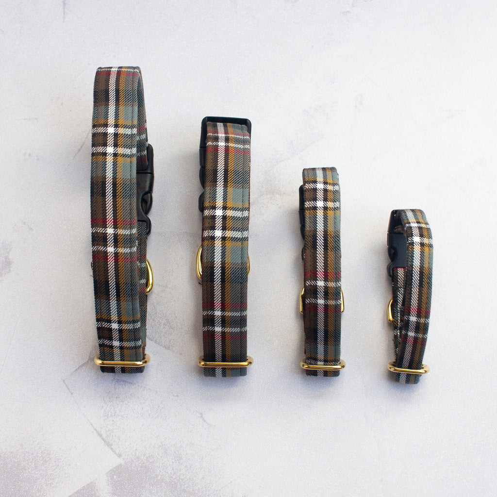 Dog Collar | Scott Weathered