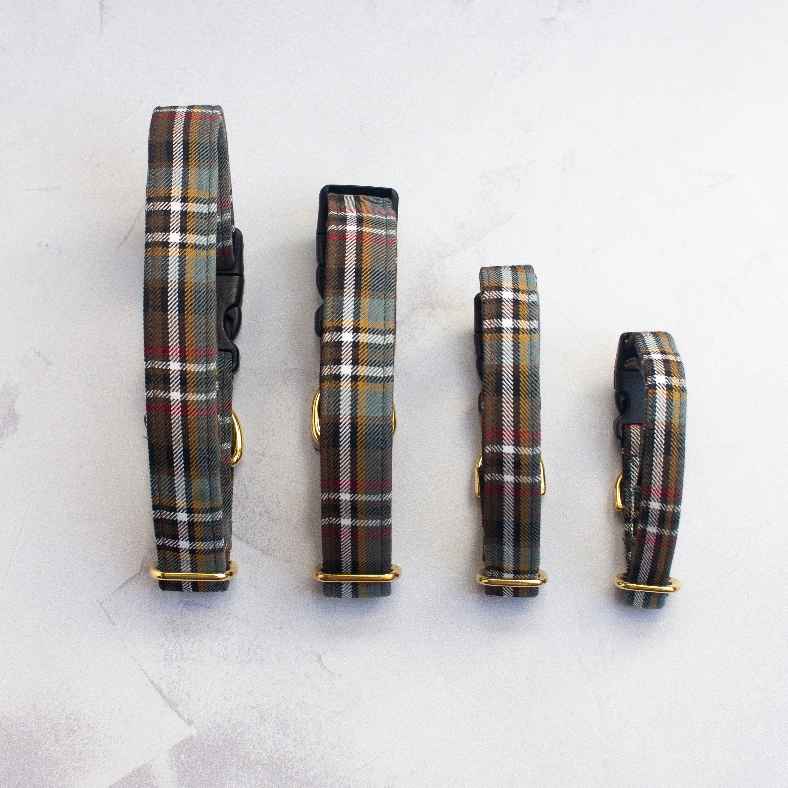Dog Collar | Scott Weathered