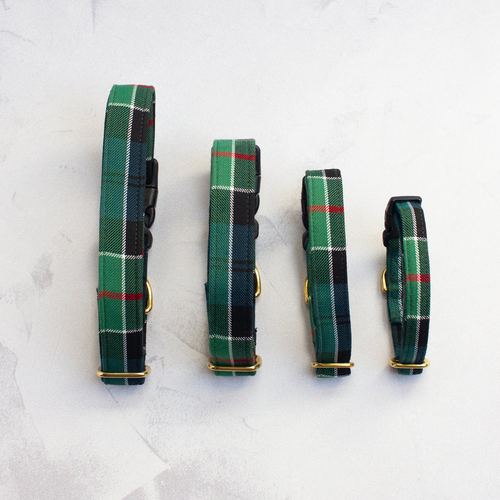 Dog Collar | Colquhoun