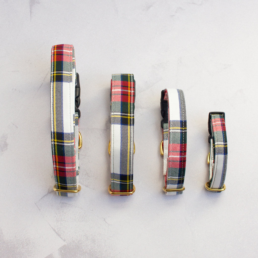 Dog Collar | Stewart Dress
