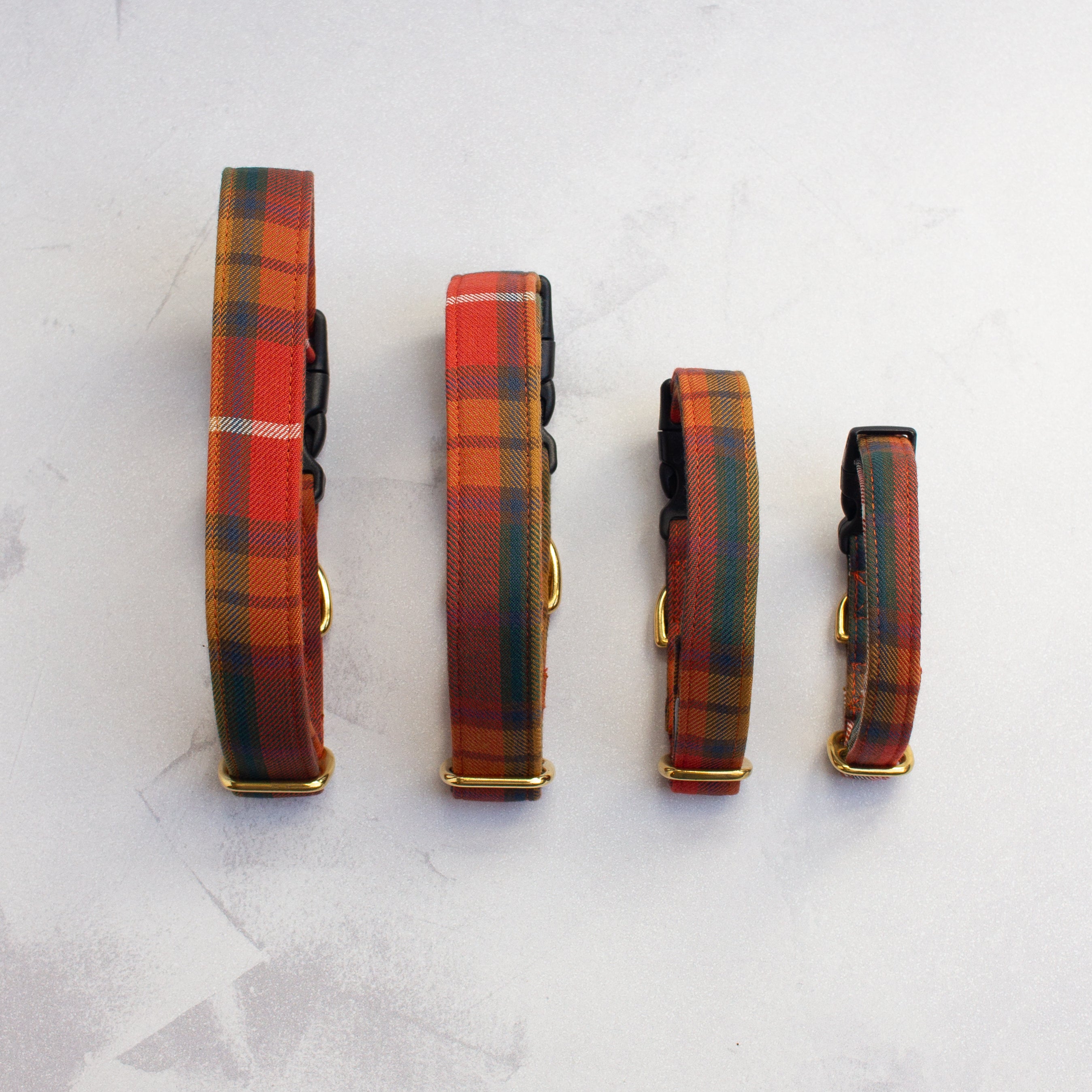 Dog Collar | Buchanan