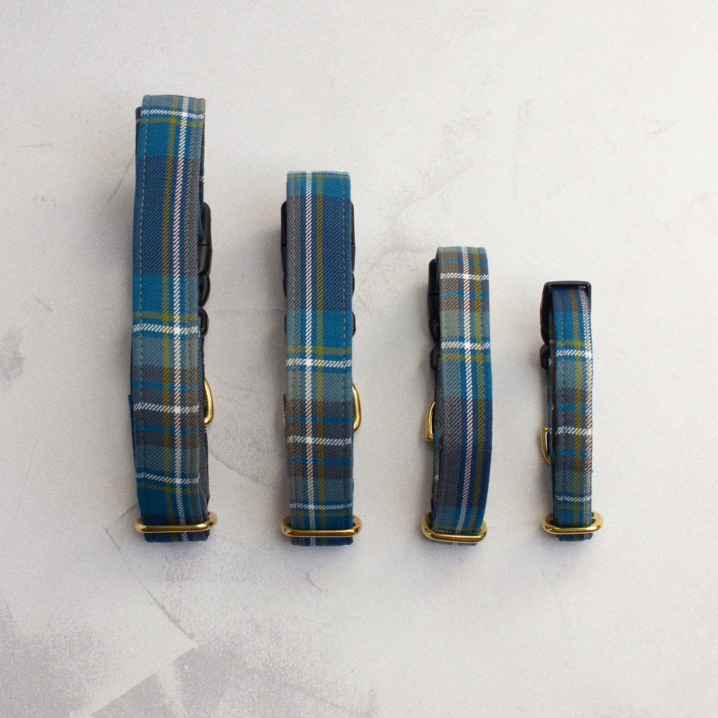 Dog Collar | Holyrood