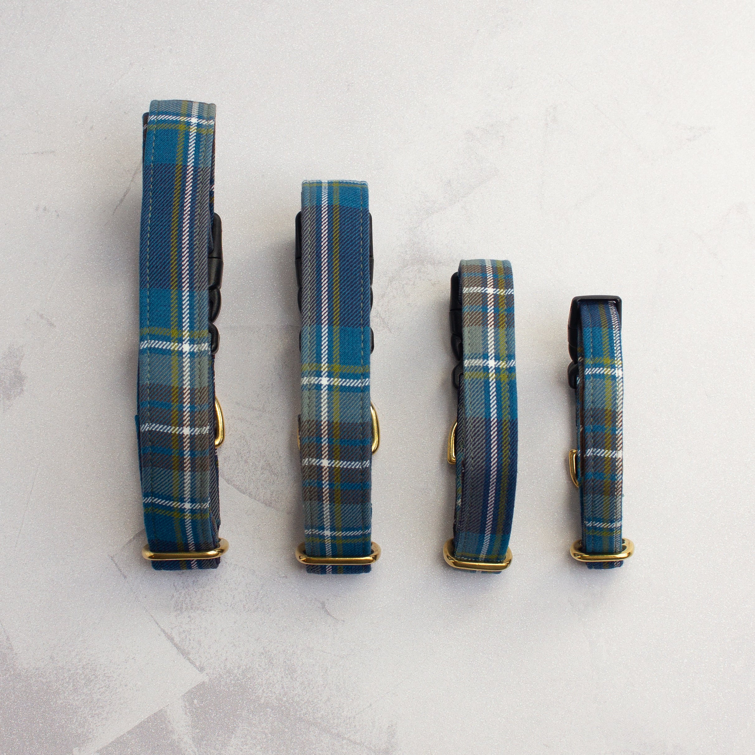 Dog Collar | Holyrood