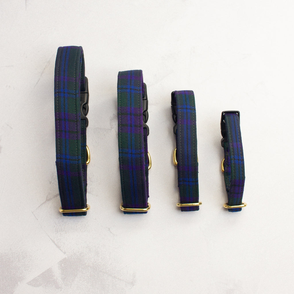 Dog Collar | Spirit of Scotland