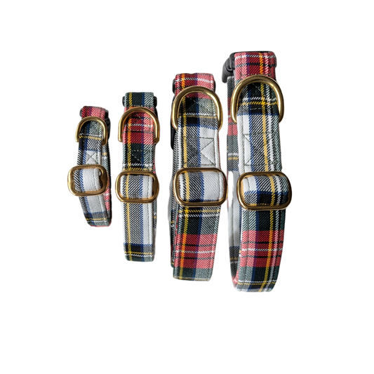 Dog Collar | Royal Stewart Dress Tartan