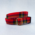 Dog Collar | Royal Stewart