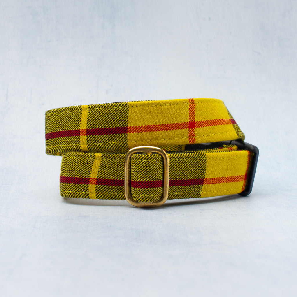 Dog Collar | Macleod of Lewis