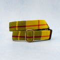 Dog Collar | Macleod of Lewis