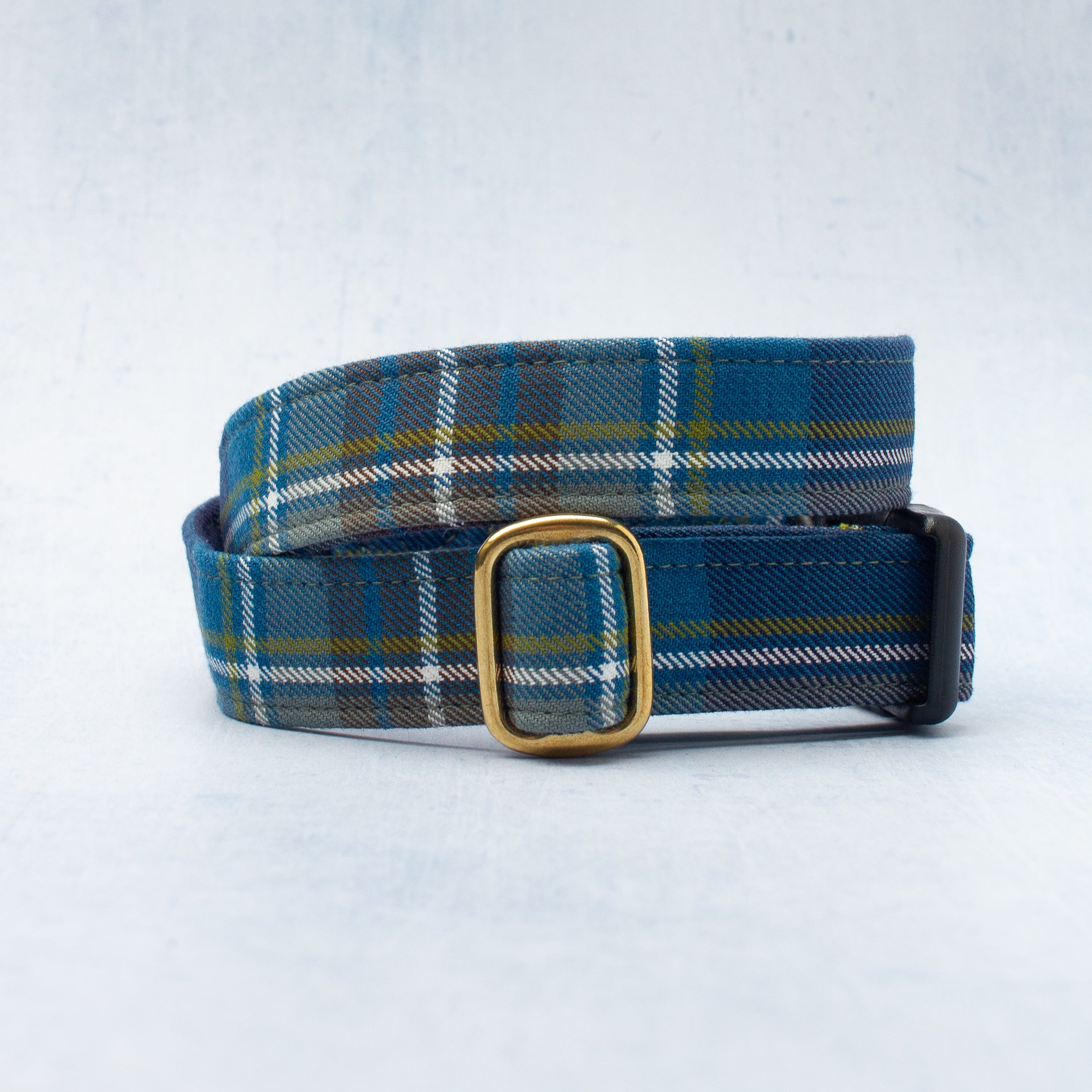 Dog Collar | Holyrood