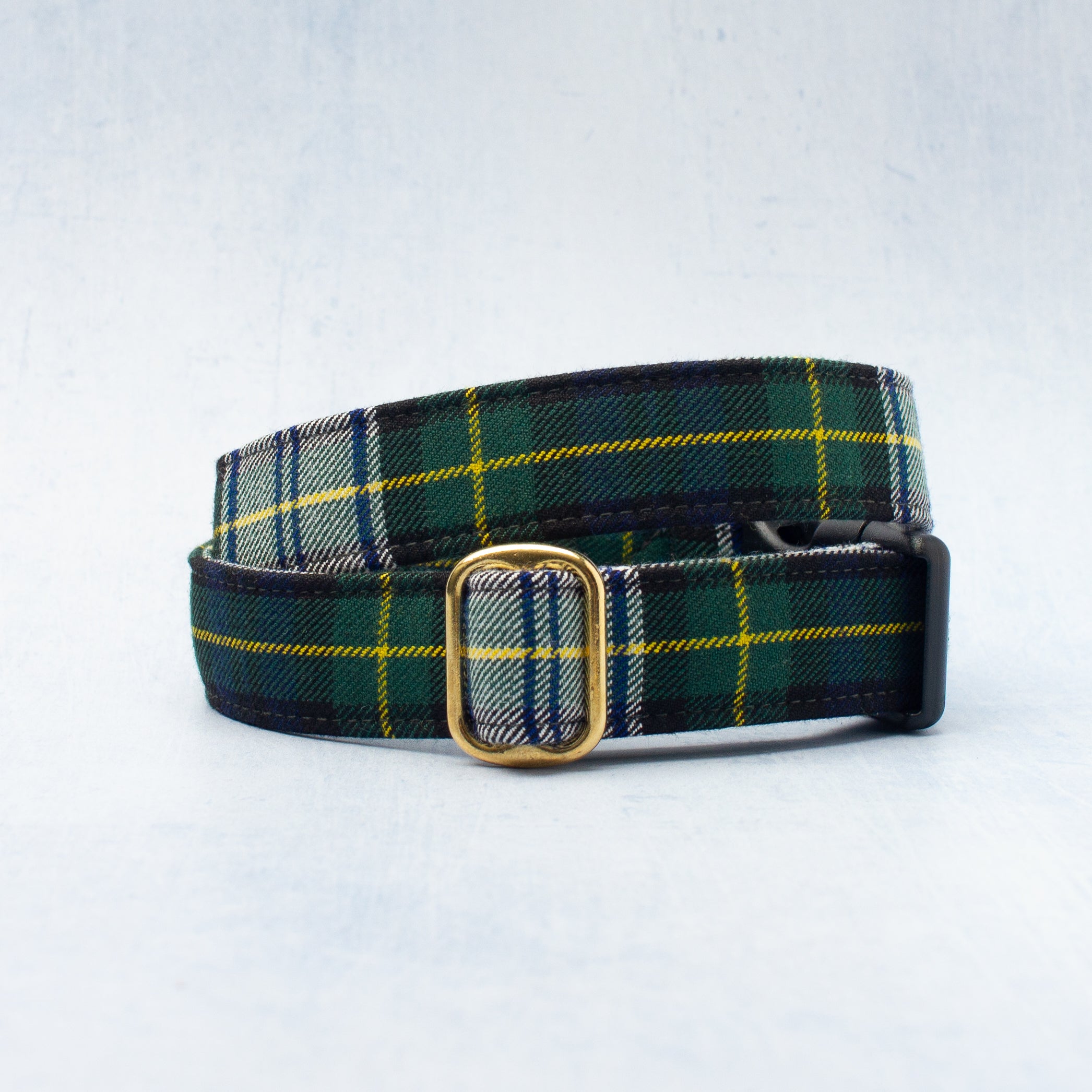 Dog Collar | Gordon